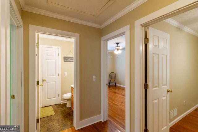 hallway featuring crown molding and dark wood-type flooring