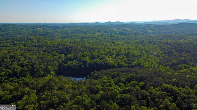 aerial view with a mountain view