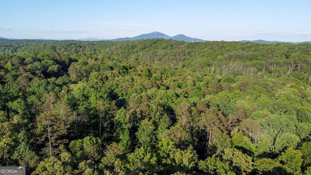 drone / aerial view featuring a mountain view