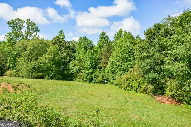 view of local wilderness