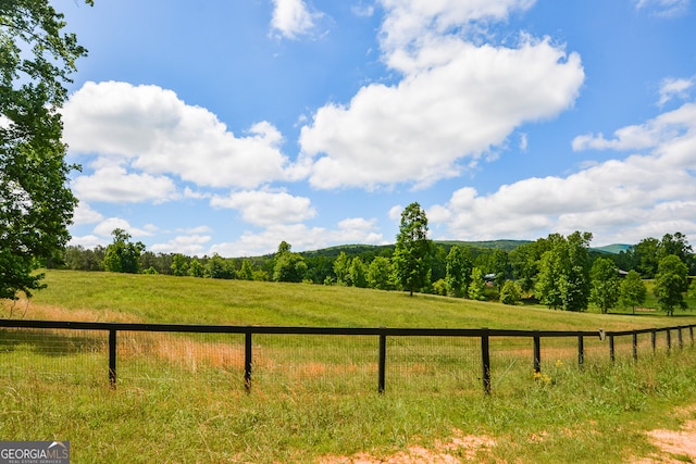 view of yard with a rural view