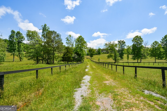 view of yard featuring a rural view