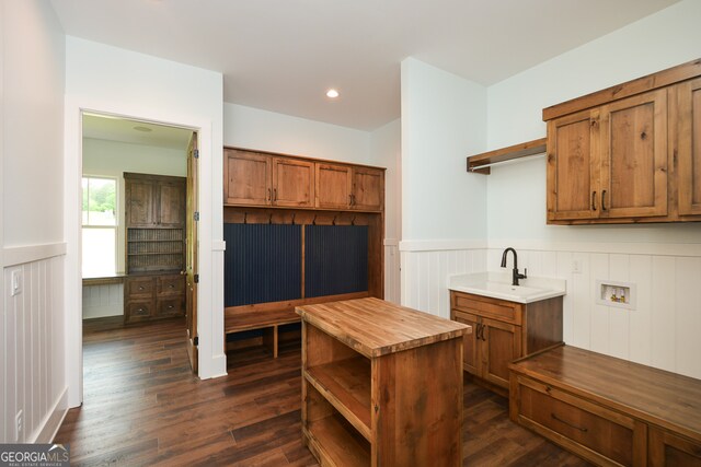 kitchen featuring butcher block counters, sink, and dark hardwood / wood-style floors