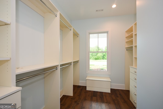 walk in closet featuring dark hardwood / wood-style floors