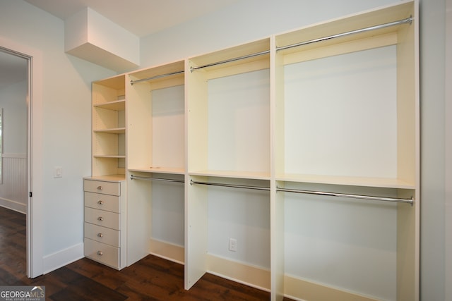 spacious closet featuring dark hardwood / wood-style floors