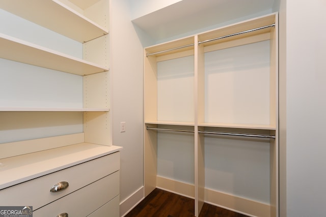 spacious closet with dark hardwood / wood-style floors