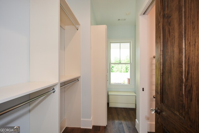 spacious closet featuring dark wood-type flooring