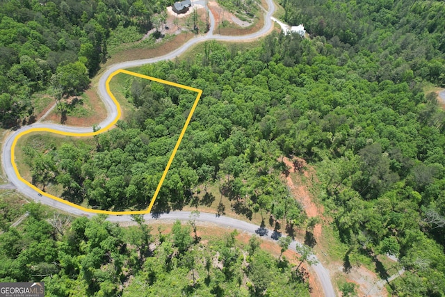 LOT179 Canoe Pt, Ellijay GA, 30540 land for sale