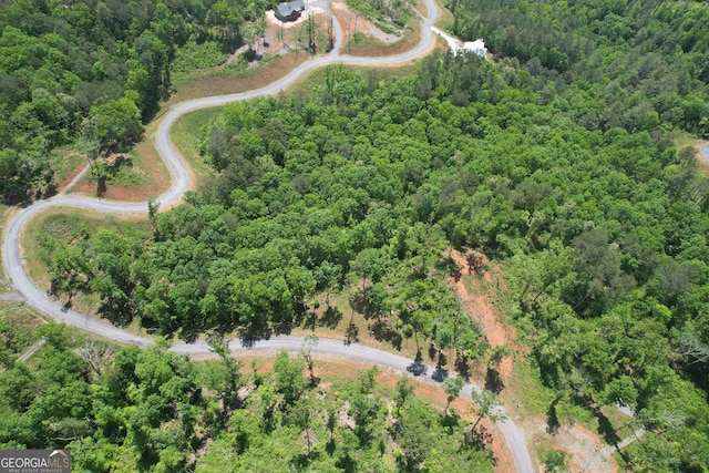 Listing photo 3 for LOT179 Canoe Pt, Ellijay GA 30540