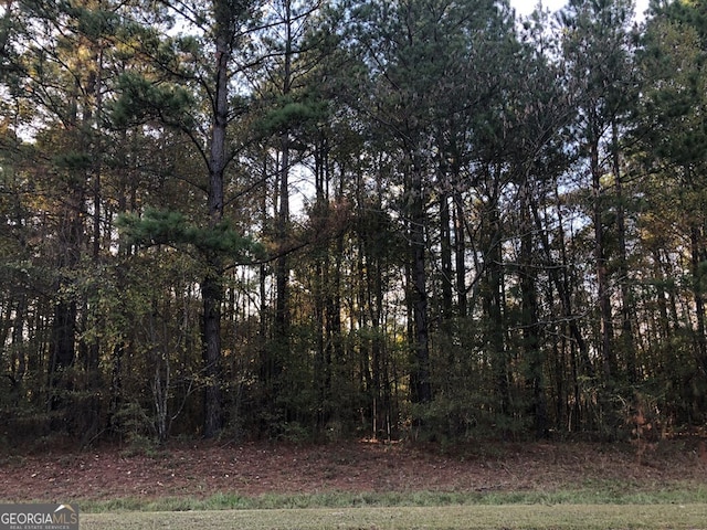 Listing photo 2 for 0 Gordon Edwards Rd, Dublin GA 31021