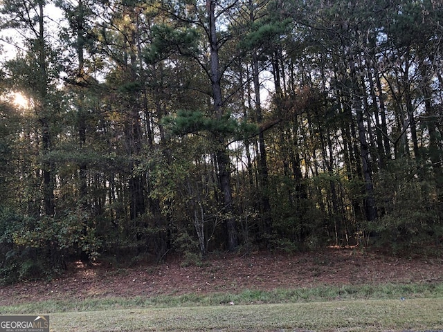 Listing photo 3 for 0 Gordon Edwards Rd, Dublin GA 31021