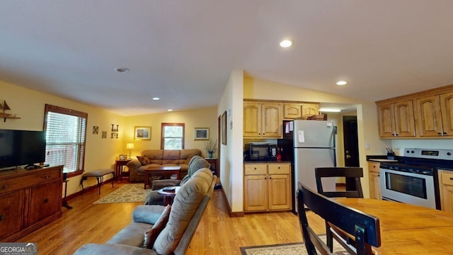 living room with light hardwood / wood-style floors, a wealth of natural light, and vaulted ceiling