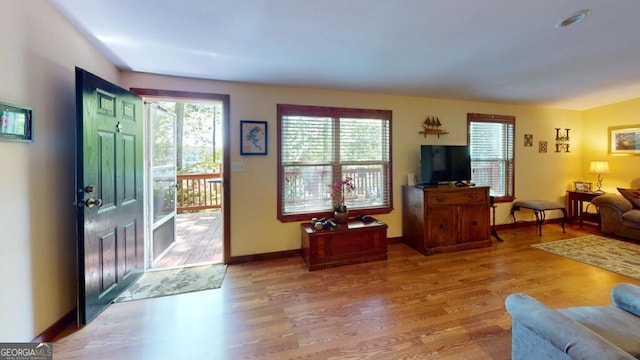 living room with wood-type flooring