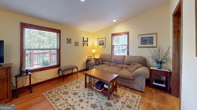 living room with plenty of natural light, lofted ceiling, and wood-type flooring