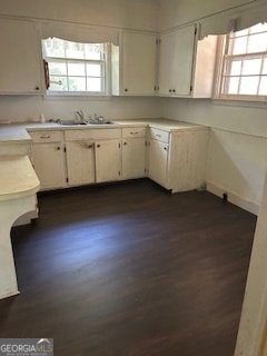 kitchen featuring sink, white cabinets, and dark hardwood / wood-style flooring