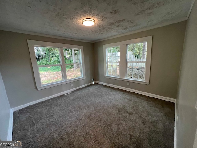 unfurnished room with carpet, a textured ceiling, and a wealth of natural light