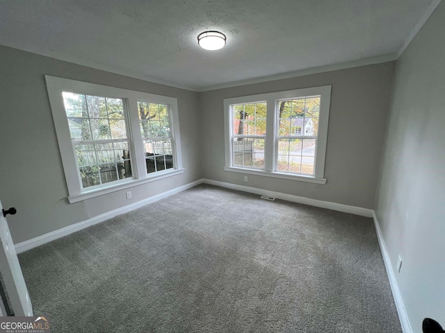 carpeted empty room featuring crown molding