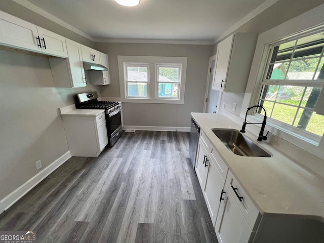 kitchen featuring white cabinetry, a wealth of natural light, appliances with stainless steel finishes, hardwood / wood-style flooring, and sink