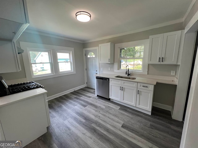 kitchen with wood-type flooring, sink, and stainless steel dishwasher