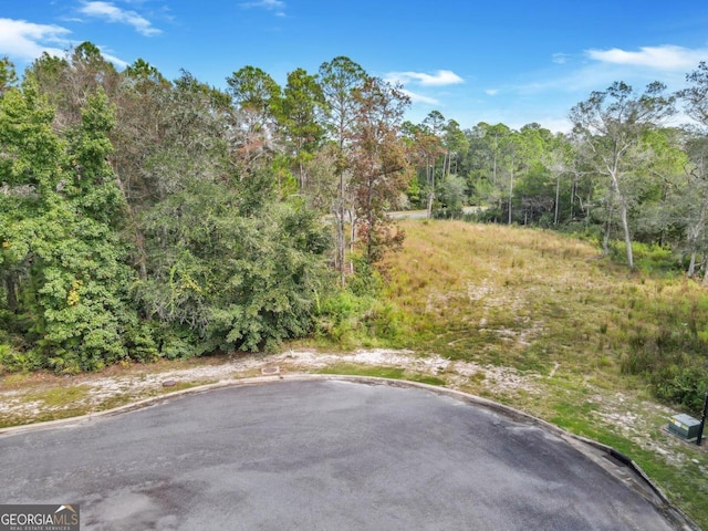 LOT102 Maiden Creek Lndg, Waverly GA, 31565 land for sale