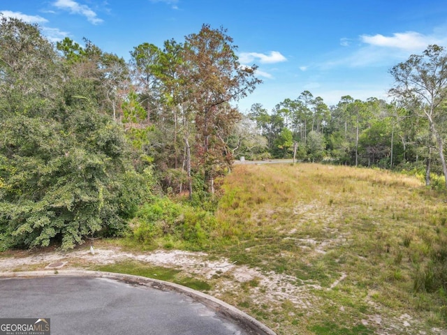 Listing photo 2 for LOT102 Maiden Creek Lndg, Waverly GA 31565