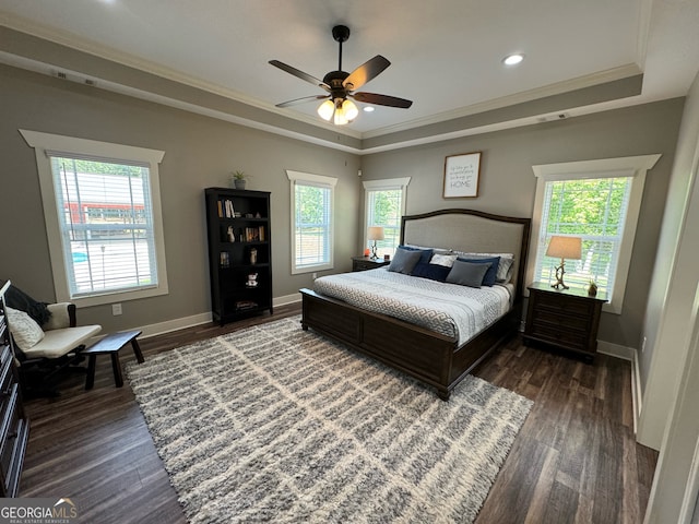 bedroom with multiple windows, a tray ceiling, and dark wood-type flooring