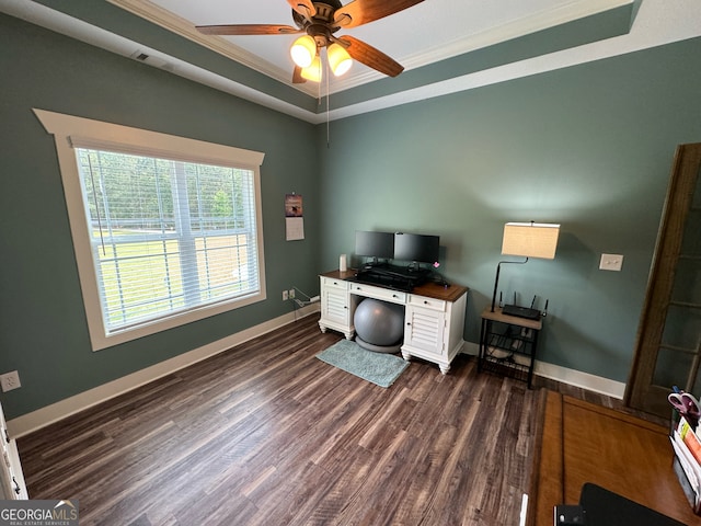 office area featuring dark hardwood / wood-style floors, ceiling fan, a tray ceiling, and crown molding