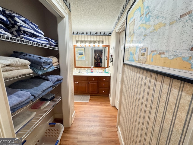 walk in closet featuring light hardwood / wood-style floors and sink