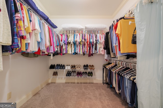 spacious closet featuring carpet