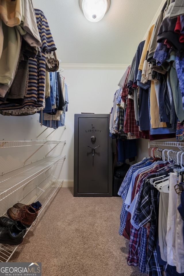 spacious closet featuring carpet