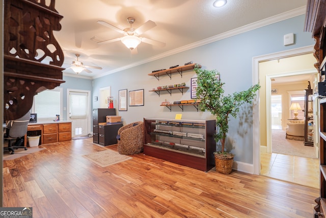 office space with plenty of natural light, ceiling fan, and light hardwood / wood-style flooring