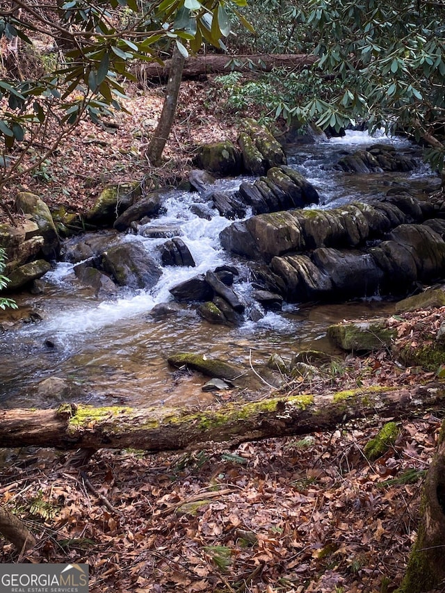 view of local wilderness