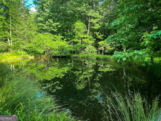 view of nature featuring a water view