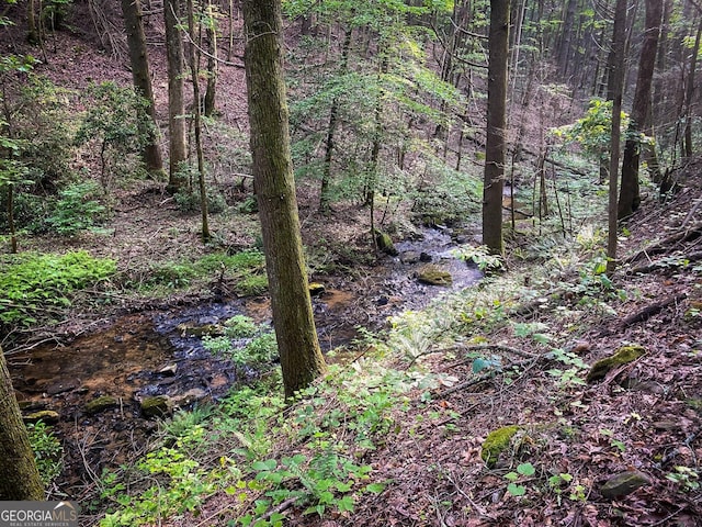 view of local wilderness