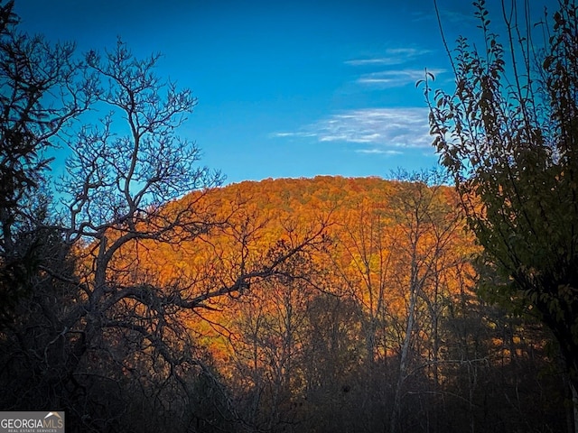 view of mountain feature