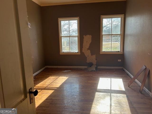 unfurnished room with ornamental molding and light hardwood / wood-style floors