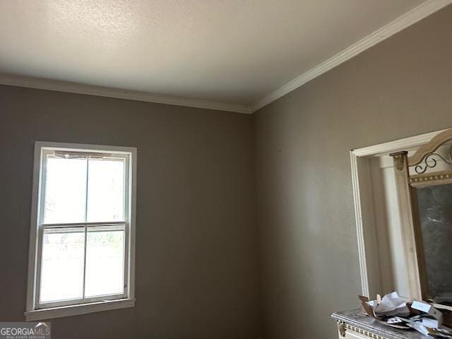 unfurnished room featuring ornamental molding and a textured ceiling