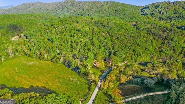 birds eye view of property with a mountain view