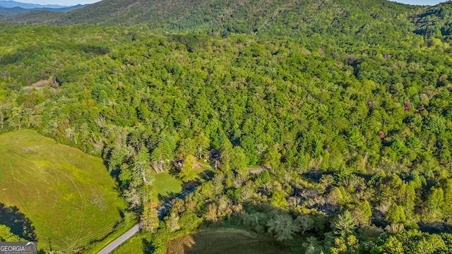 bird's eye view featuring a mountain view