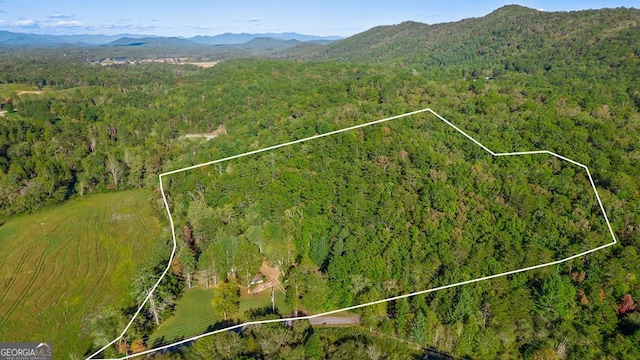 aerial view with a mountain view