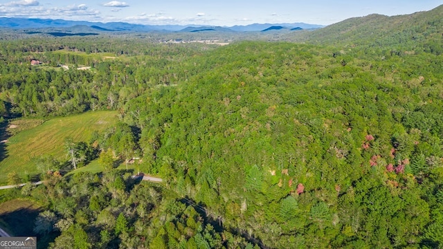 bird's eye view featuring a mountain view