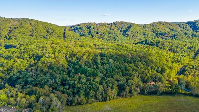 view of mountain feature