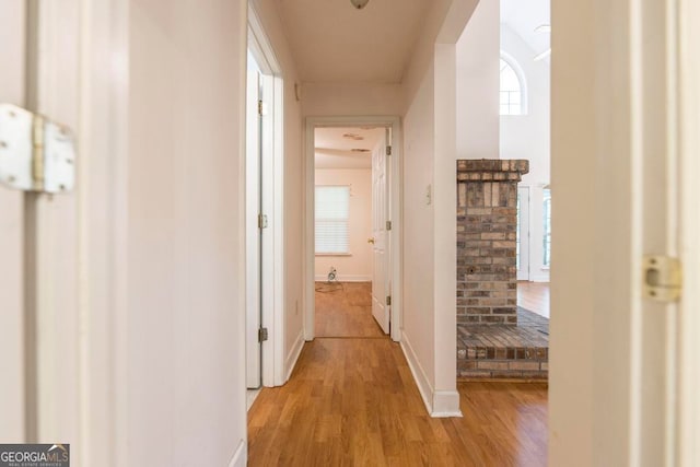 3650 Confederate Dr, Macon, GA 31211 - corridor with a wealth of natural light and light hardwood / wood-style flooring