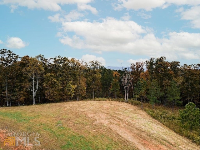 0 High River Rd, Ellijay GA, 30540 land for sale