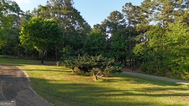 view of property's community with a yard