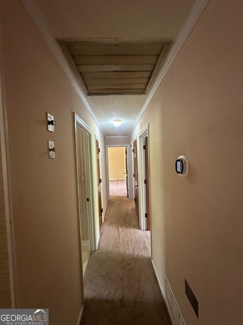 hall with crown molding, a textured ceiling, and carpet flooring