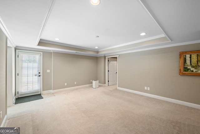 interior space with a raised ceiling and crown molding