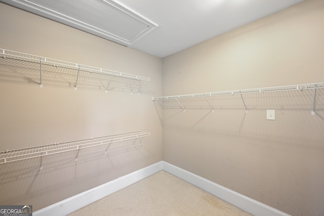 walk in closet with carpet flooring