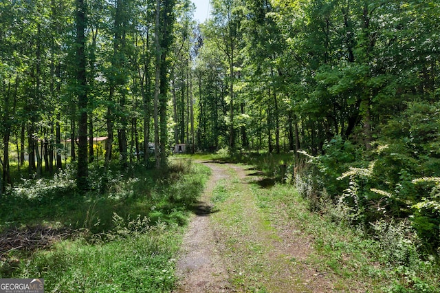 4537 Everett Springs Rd NE, Armuchee GA, 30105 land for sale