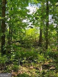 Listing photo 3 for 0 Davis Dr, Georgetown GA 39854